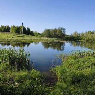 В Теньгушевском районе следователи СК устанавливают обстоятельства гибели ребенка в водоеме